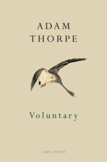 Voluntary, Paperback / softback Book Voluntary, Paperback / softback Book