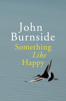 Something Like Happy, Hardback Book Something Like Happy, Hardback Book