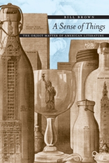 A Sense of Things : The Object Matter of American Literature