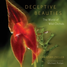 Deceptive Beauties : The World of Wild Orchids