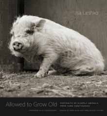 Allowed to Grow Old : Portraits of Elderly Animals from Farm Sanctuaries