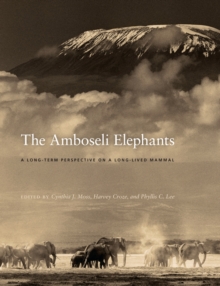 The Amboseli Elephants : A Long-Term Perspective on a Long-Lived Mammal