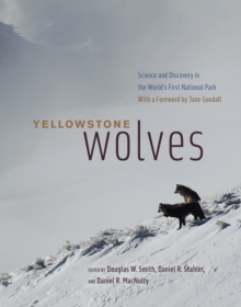 Yellowstone Wolves : Science and Discovery in the World's First National Park