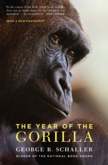 The Year of the Gorilla