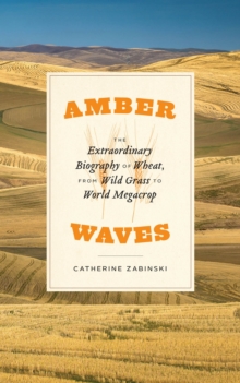 Amber Waves : The Extraordinary Biography of Wheat, from Wild Grass to World Megacrop