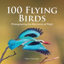 100 Flying Birds : Photographing the Mechanics of Flight