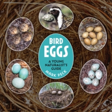 Bird Eggs : A Young Naturalist's Guide