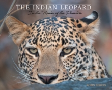 The Indian Leopard : In The Realm Of The Phantom