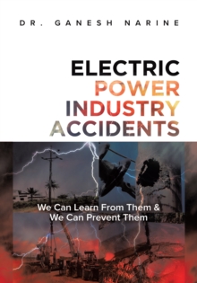 Electric Power Industry Accidents: We Can Learn from Them & We Can Prevent Them