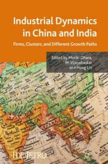 Industrial Dynamics in China and India : Firms, Clusters, and Different Growth Paths