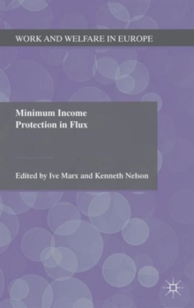 Minimum Income Protection in Flux, Hardback Book Minimum Income Protection in Flux, Hardback Book