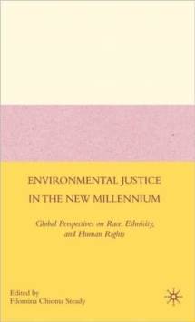 Environmental Justice in the New Millennium : Global Perspectives on Race, Ethnicity, and Human Rights, Hardback Book Environmental Justice in the New Millennium : Global Perspectives on Race, Ethnicity, and Human Rights, Hardback Book