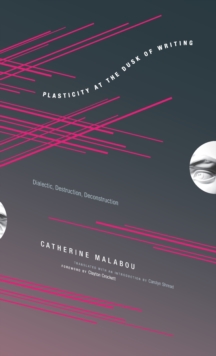 Plasticity at the Dusk of Writing : Dialectic, Destruction, Deconstruction, Hardback Book Plasticity at the Dusk of Writing : Dialectic, Destruction, Deconstruction, Hardback Book