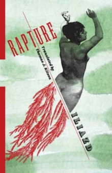Rapture : A Novel, Hardback Book Rapture : A Novel, Hardback Book