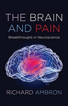 The Brain and Pain : Breakthroughs in Neuroscience