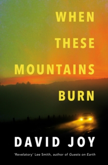 When These Mountains Burn : The literary crime thriller from the prizewinning master of American noir fiction