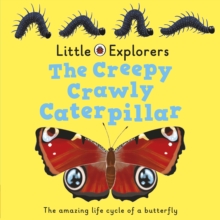 Ladybird Little Explorers, Board book Book Ladybird Little Explorers, Board book Book