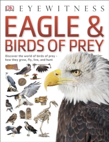 Eagle & Birds of Prey, Paperback Book Eagle & Birds of Prey, Paperback Book