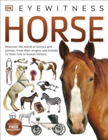 Horse, Paperback Book Horse, Paperback Book