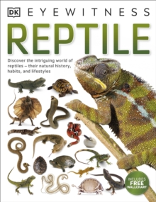 Reptile, Paperback Book Reptile, Paperback Book