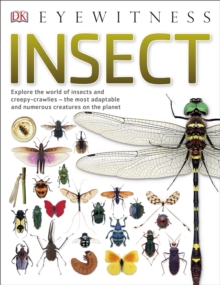 Insect : Explore the world of insects and creepy-crawlies - the most adaptable and numerous creatures on the planet, Paperback Book Insect : Explore the world of insects and creepy-crawlies - the most adaptable and numerous creatures on the planet, Paperback Book