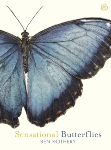 Sensational Butterflies, Hardback Book Sensational Butterflies, Hardback Book