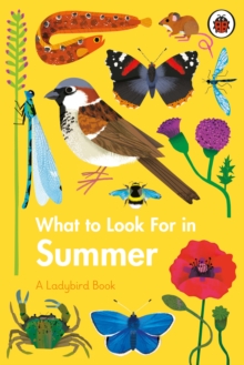 What To Look For In Summer