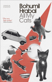 All My Cats, Hardback Book All My Cats, Hardback Book