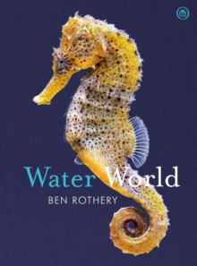 Water World, Hardback Book Water World, Hardback Book