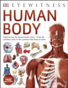 Human Body