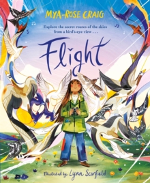 Flight : Explore the secret routes of the skies from a bird's-eye view