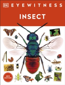 Insect