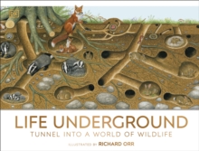 Life Underground : Tunnel into a World of Wildlife