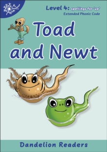 Phonic Books Dandelion Readers Vowel Spellings Level 4 : Alternative vowel and consonant spellings, and Latin suffixes