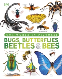 Bugs, Butterflies, Beetles and Bees : A Visual Bug and Insect Encyclopedia for Kids
