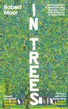 In Trees : An Exploration of Ancient Living Wisdom, From Wild Branches to Deep Roots