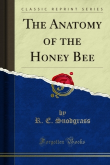 The Anatomy of the Honey Bee