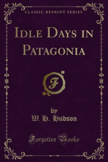 Idle Days in Patagonia