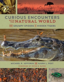 Curious Encounters with the Natural World : From Grumpy Spiders to Hidden Tigers