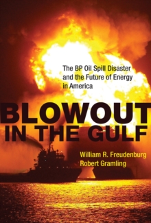 Blowout in the Gulf : The BP Oil Spill Disaster and the Future of Energy in America