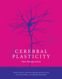 Cerebral Plasticity : New Perspectives