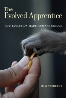 Evolved Apprentice