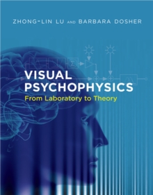 Visual Psychophysics : From Laboratory to Theory