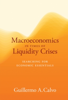 Macroeconomics in Times of Liquidity Crises