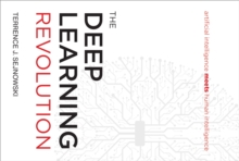 The Deep Learning Revolution