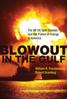 Blowout in the Gulf : The BP Oil Spill Disaster and the Future of Energy in America, Paperback / softback Book Blowout in the Gulf : The BP Oil Spill Disaster and the Future of Energy in America, Paperback / softback Book