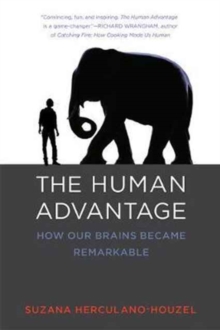 The Human Advantage : How Our Brains Became Remarkable