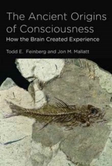 The Ancient Origins of Consciousness : How the Brain Created Experience, Paperback / softback Book The Ancient Origins of Consciousness : How the Brain Created Experience, Paperback / softback Book