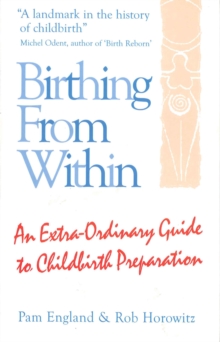 Birthing from within, Paperback Book Birthing from within, Paperback Book