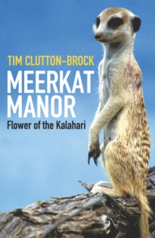 Meerkat Manor : Flower Of The Kalahari